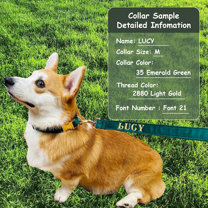 Personalized Embroidered Dog Leash, Personalized Velvet Dog Leash ...