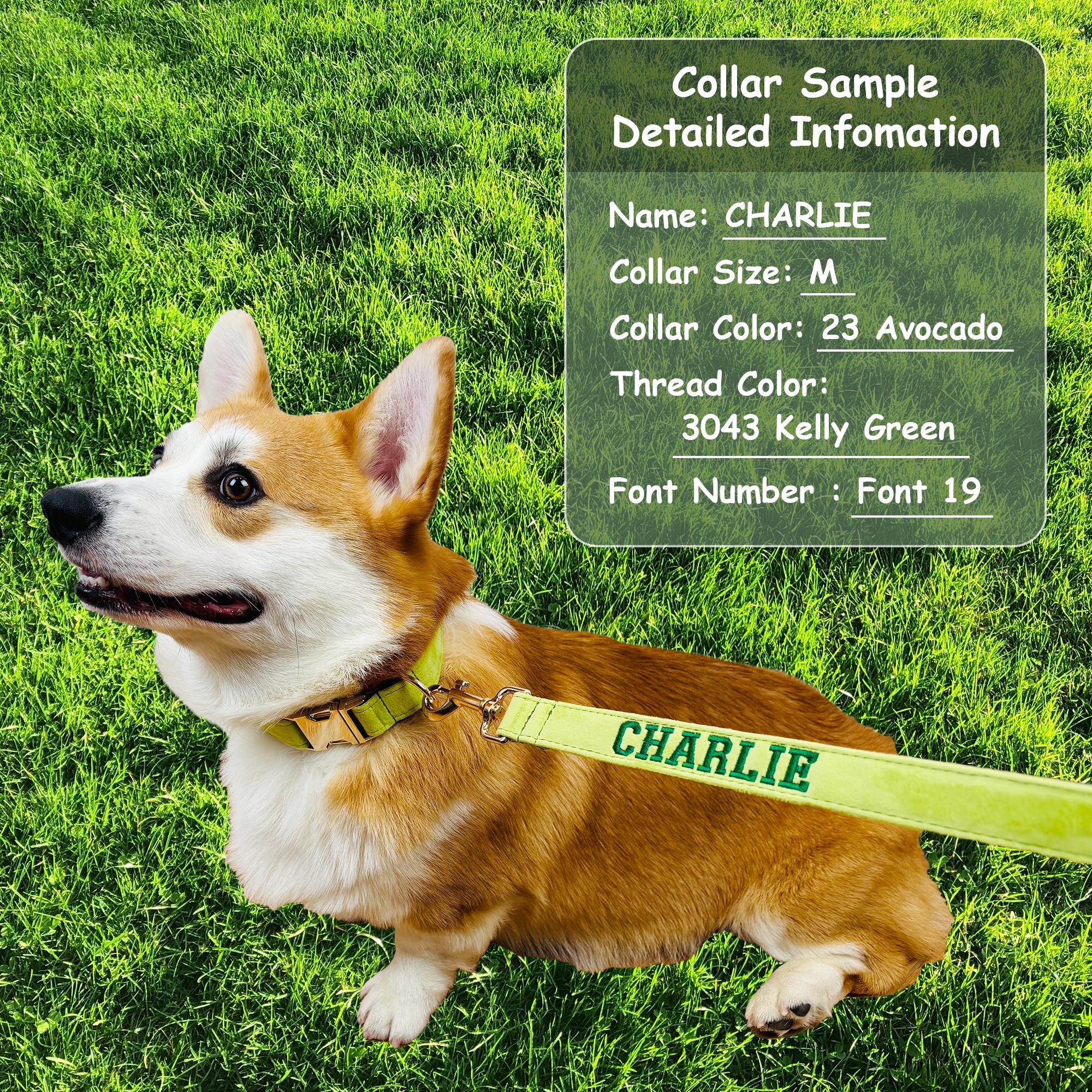 Personalized Embroidered Dog Leash, Personalized Velvet Dog Leash ...