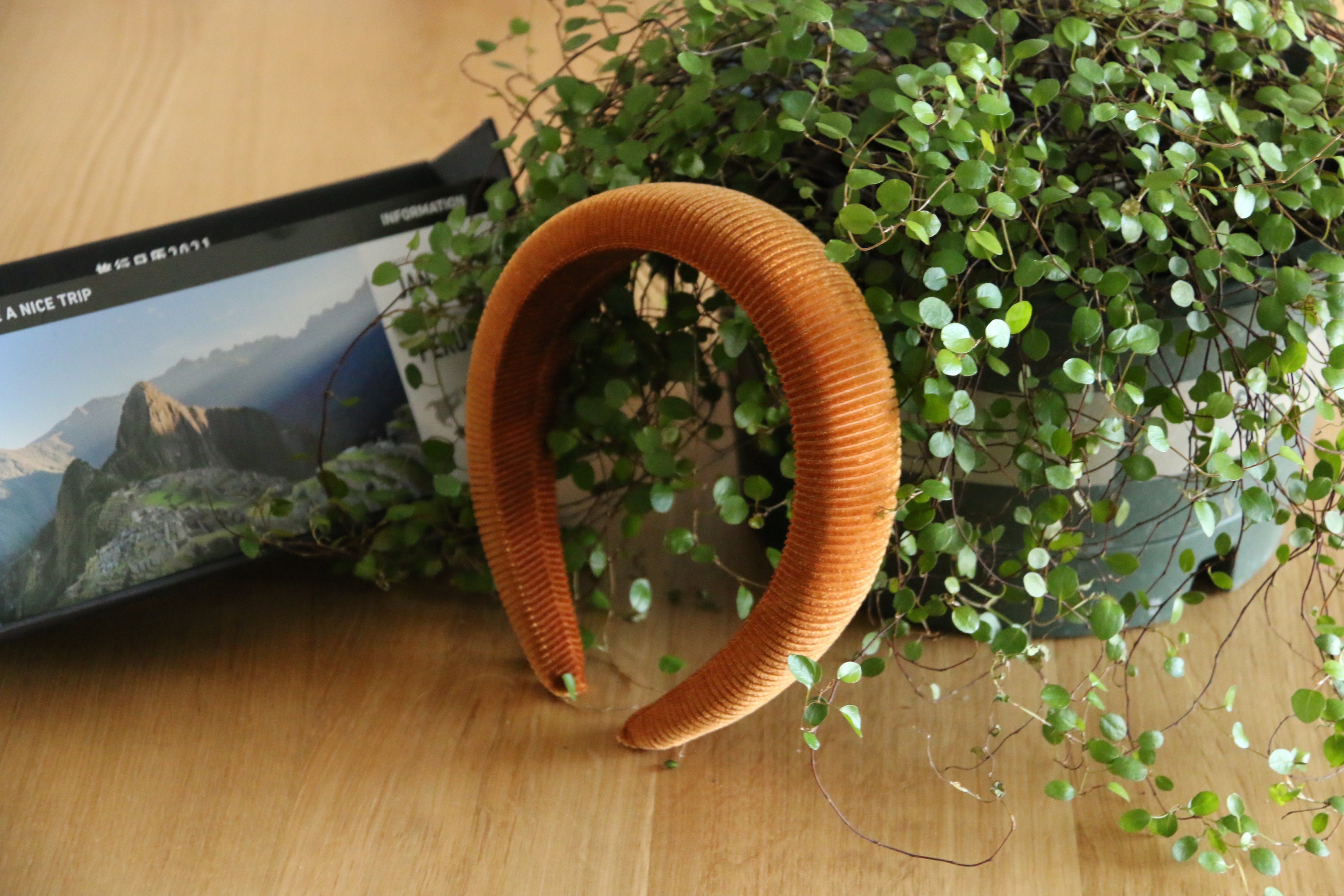 YALLNASL Diadema Acolchada Azul Para Mujeres Y Niñas