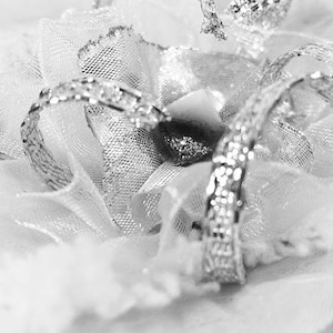 Fantasy FLOWER Bianco Argento Finitura TESSUTO per Festa di Matrimonio Evento Speciale DECORAZIONE Parete Appesa Collage Progetti Artigianali