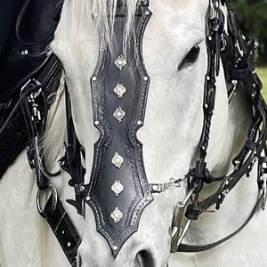 Roäc&#39;s Prophecy Bridle/Chamfron