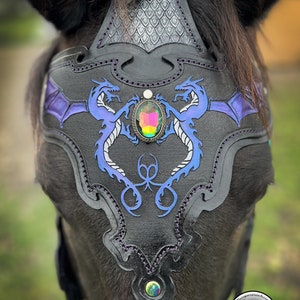 May include: Black leather horse headstall with a purple and blue dragon design and a large iridescent jewel in the center.