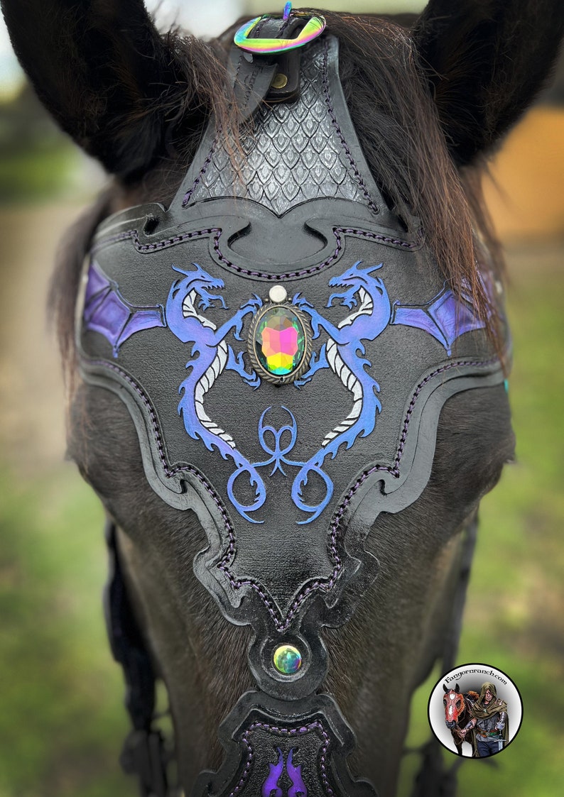 May include: Black leather horse headstall with a purple and blue dragon design and a large iridescent jewel in the center.