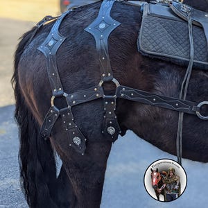 May include: A black horse wearing a leather harness with silver accents. The harness has a diamond-shaped design and is secured with buckles. The horse is wearing a saddle with a quilted seat.