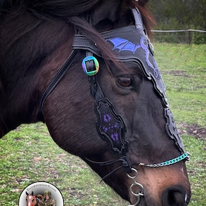 May include: A black leather horse halter with a purple dragon design. The halter has a iridescent buckle and a silver bit. The horse is brown and has a white star on its forehead.
