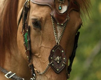 May include: A close-up of a horse wearing an ornate brown leather bridle. The bridle features green accents, gold chains, and decorative jewels. The horse's coat is a light brown color, and the background is blurred green.