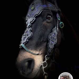 May include: A black horse wearing a black leather bridle with intricate purple and silver detailing. The bridle features a dragon design and a chain with a silver bit. The horse's eye is visible, and the background is black.