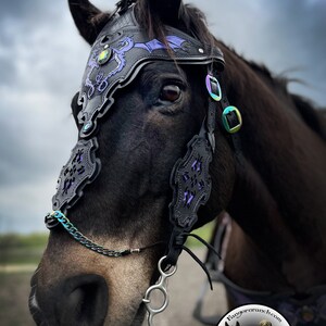 May include: A black horse wearing a black leather bridle with purple and iridescent accents. The bridle features a dragon design and a silver bit. The horse is looking to the left of the frame. The background is a cloudy sky.