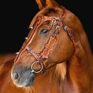 Thorondors Crown Bridle/Chamfron