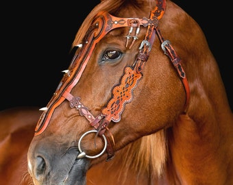 Thorondors Crown Bridle/Chamfron