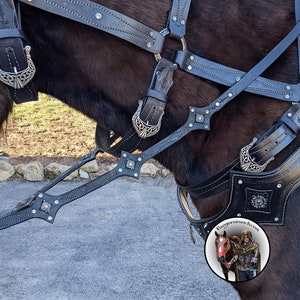May include: Close-up of a black leather horse harness with silver buckles and decorative accents. The harness is worn on a brown horse. The harness has a  'Forgeandranch.com' logo.
