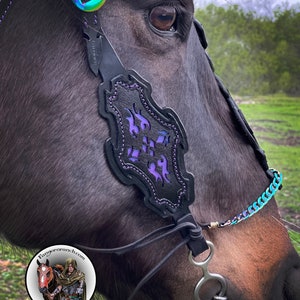 May include: Close-up of a black horse wearing a purple and black leather halter with a silver bit and a rainbow colored chain. The horse's eye is visible.