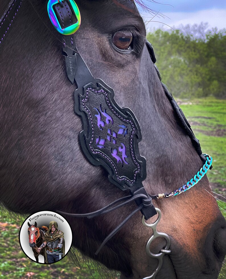 May include: Close-up of a black horse wearing a purple and black leather halter with a silver bit and a rainbow colored chain. The horse's eye is visible.