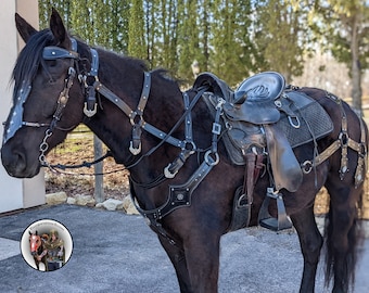 May include: A black horse wearing a leather harness and saddle with silver accents. The horse is standing on a gray surface with a white building in the background.