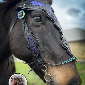 May include: A black horse wearing a black leather bridle with a purple dragon design. The bridle has a silver bit and a rainbow colored braided rope.