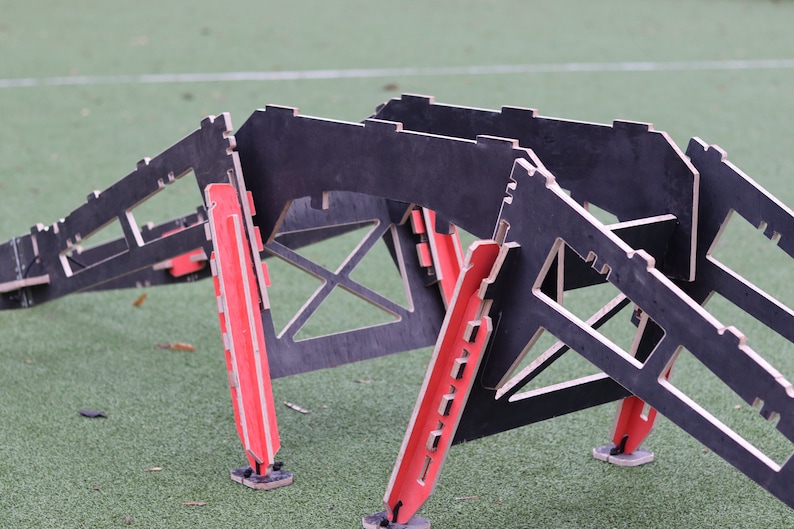 May include: A black and red wooden obstacle course for dogs. The course is made of plywood and has a series of ramps and jumps.