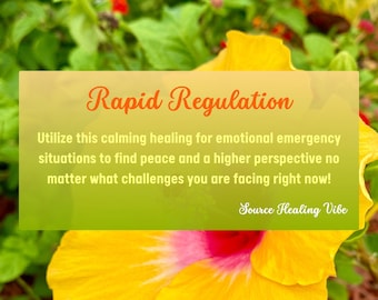 Rapid Regulation Guided Healing Meditation MP3 – Instant Calm Anxiety, Stress, Overwhelm, Nervous System Support, Emotional Emergency Relief