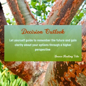 May include: A green rectangular graphic with the words "Decision Outlook" in orange script is set against a tree trunk with peeling bark. The text encourages clarity and perspective. The words "Source Healing Vibe" are at the bottom.