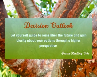 Meditación guiada sobre perspectivas de decisión (MP3): obtenga claridad intuitiva, visualice resultados futuros y tome decisiones de vida alineadas con su alma con confianza.