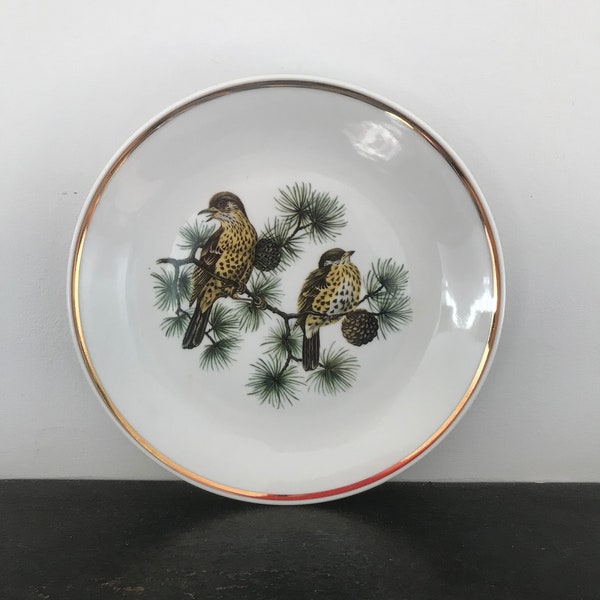 MZ Carlsbad Czechoslovakia Series II 1980 Fine Bone China Plate Song Thrushes Vintage