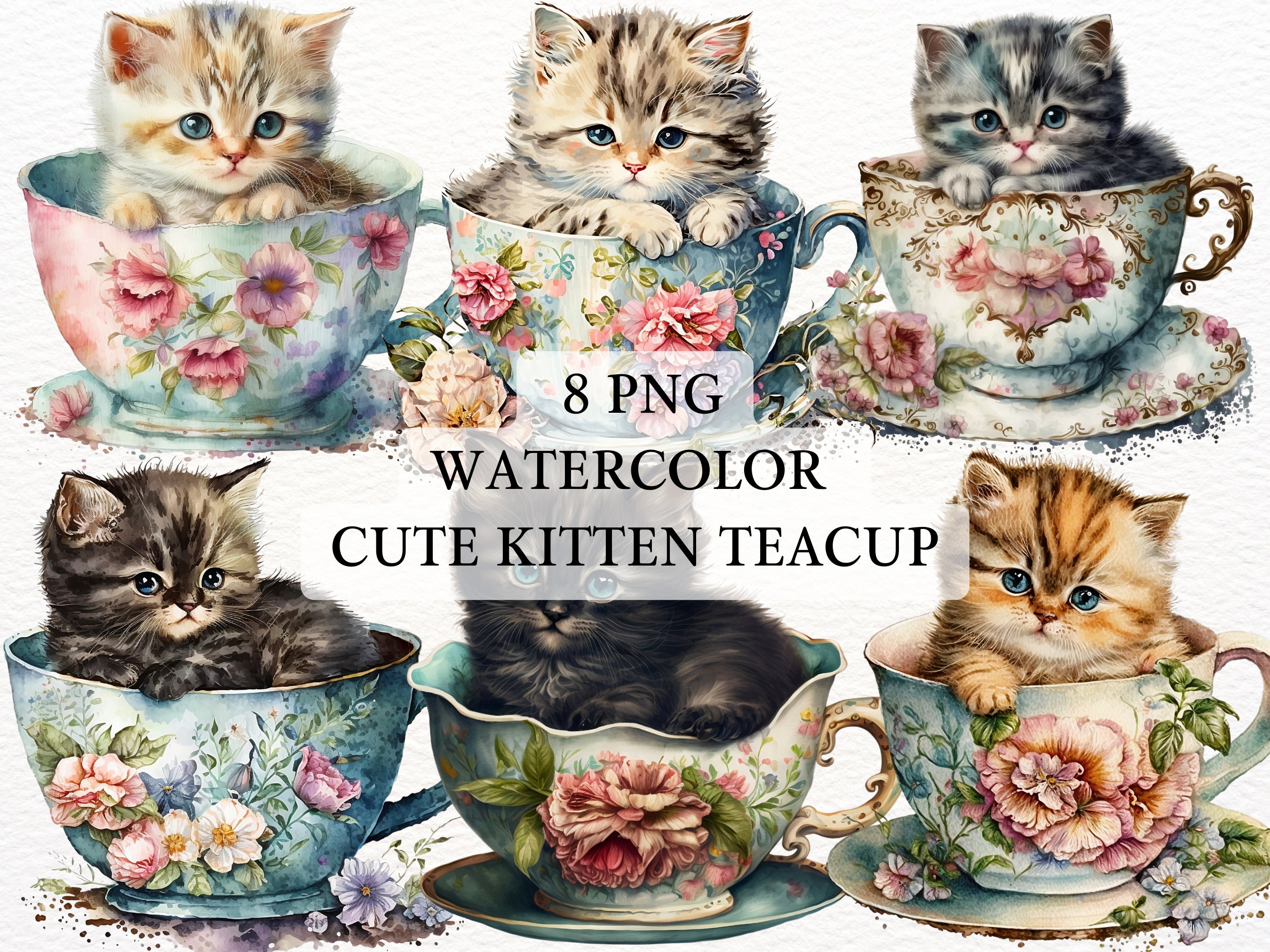 Full Grown Teacup Kittens