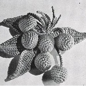 May include: A crocheted flower brooch with a cluster of small, round, white crocheted berries and leaves.