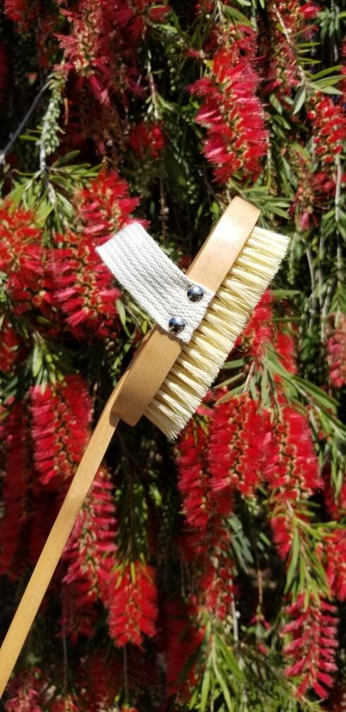 Zero-Waste Vegan Sisal Body Brush Removable Handle Fsc Beechwood Agave Fibers  Plastic Free Sustainable Ecofriendly