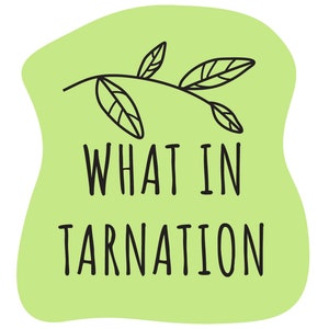WHAT IN TARNATION Bubble-free sticker in Green – Sassy Southern Sayings on stickers