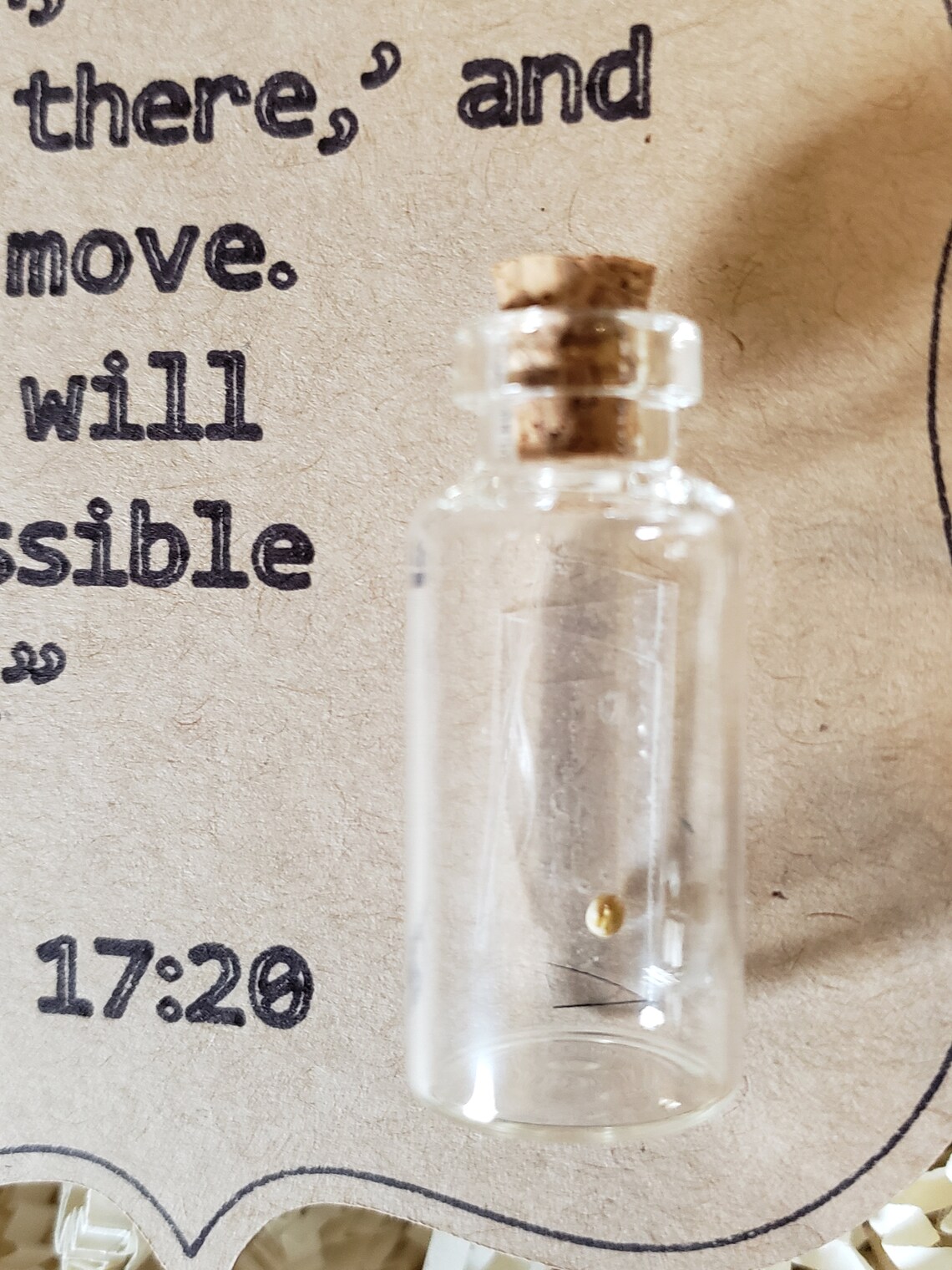 Mustard Seed Gift Cardstock Sign & Real Mustard Seed Inside Etsy