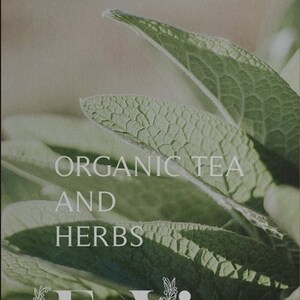 May include: Close-up of green leaves with the text "ORGANIC TEA AND HERBS" and the logo "EnVios" in white lettering.