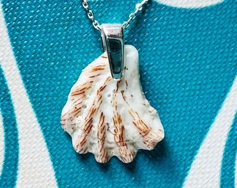 Sanibel Island / Sanibel Shell Necklace / Cat's Paw Shell / Florida Jewelry / Sanibel Shell Art / Sanibel Island Shell / Shell Jewelry