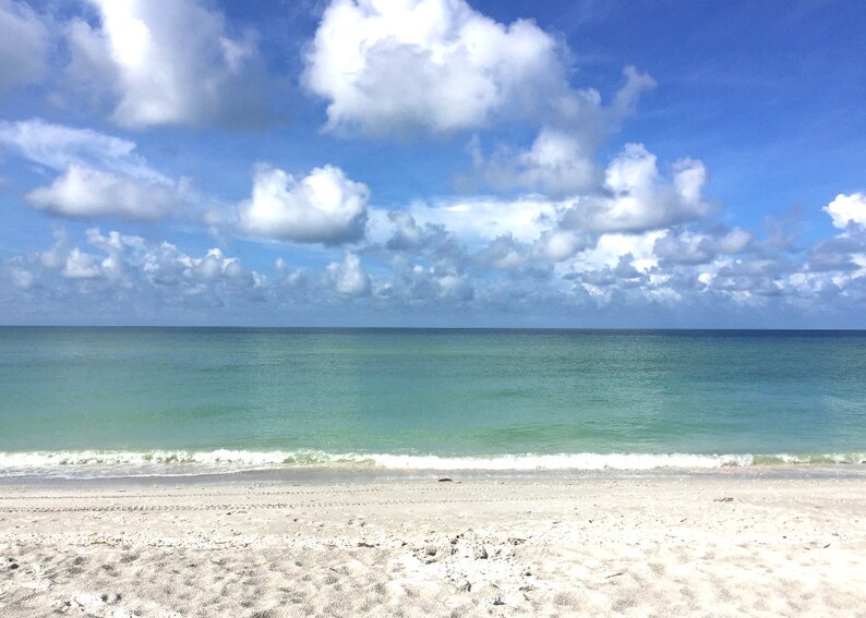 Sanibel Island Bowmans Beach jingle shell earrings image 7