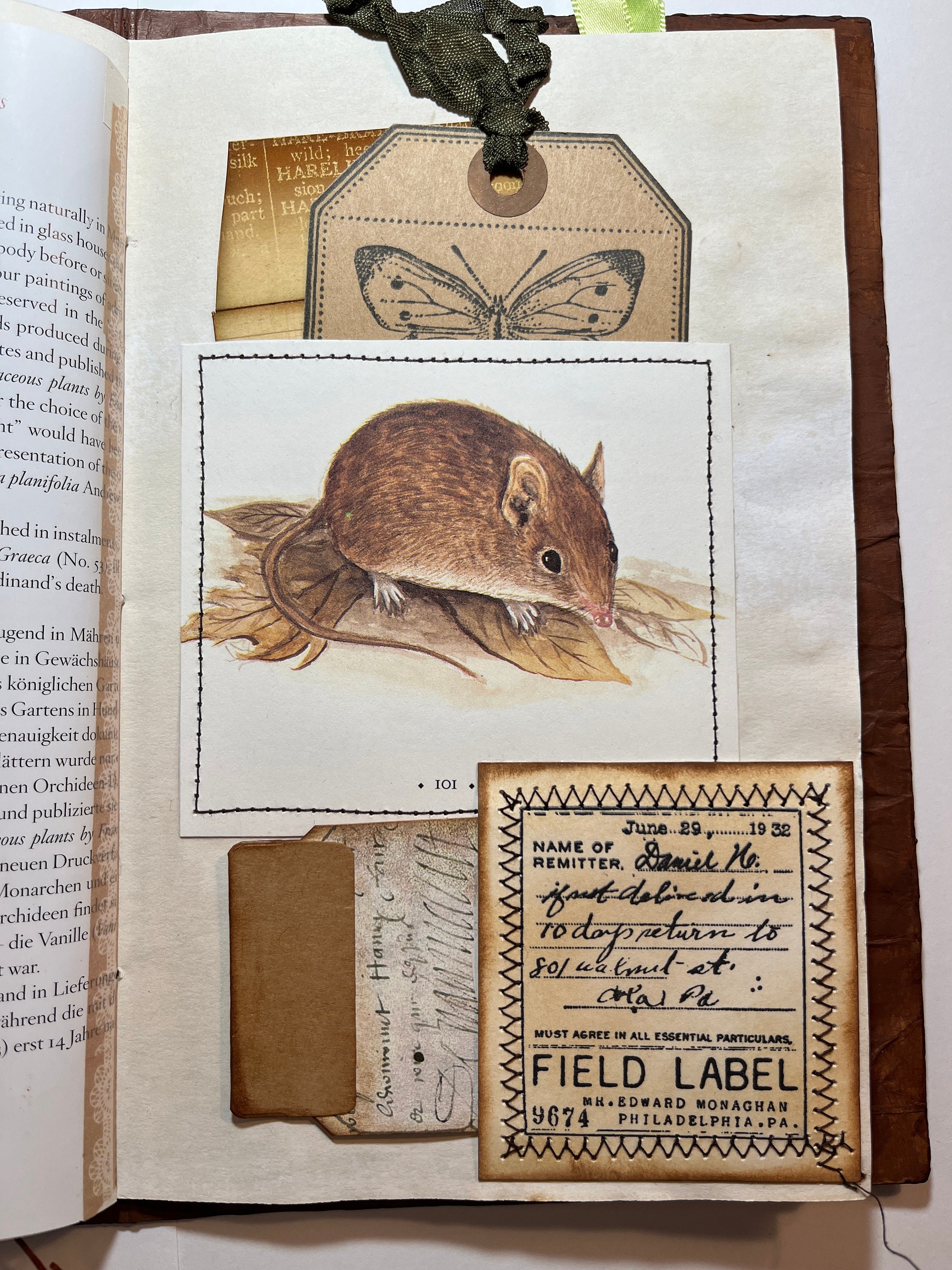 Naturalist Field Journal, Field Notes, Nature Theme, Vintage Style ...