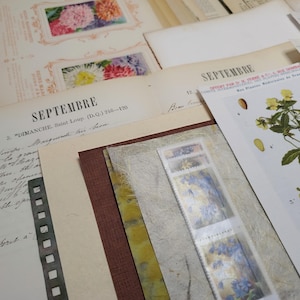 Lotto di vecchi documenti poetici "Ispirazione botanica". Kit per tenere un diario.