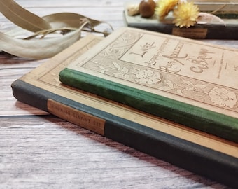 May include: Two vintage books with a green spine and a tan cover. The top book has the title "Livre Premiere Leçons de Français Pour Apprendre à Lire et à Écrire" and the bottom book has the title "Les Enfants de la Ville".