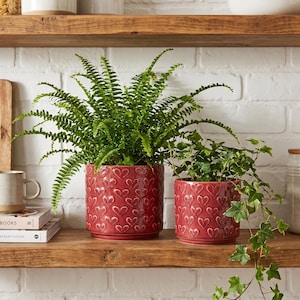May include: Two red ceramic plant pots with heart patterns, containing green plants, sit on a wooden shelf. The larger pot holds a fern, the smaller one has ivy. The shelf is against a white brick wall.