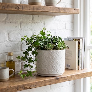 May include: A white ceramic plant pot with a heart design, containing green succulents and ivy, on a rustic wooden shelf. A small bottle of olive oil and a mug are also on the shelf, along with books.