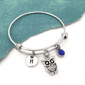May include: A silver expandable bangle bracelet with a charm of an owl, a blue crystal charm, and a charm with the letter "H" on it.