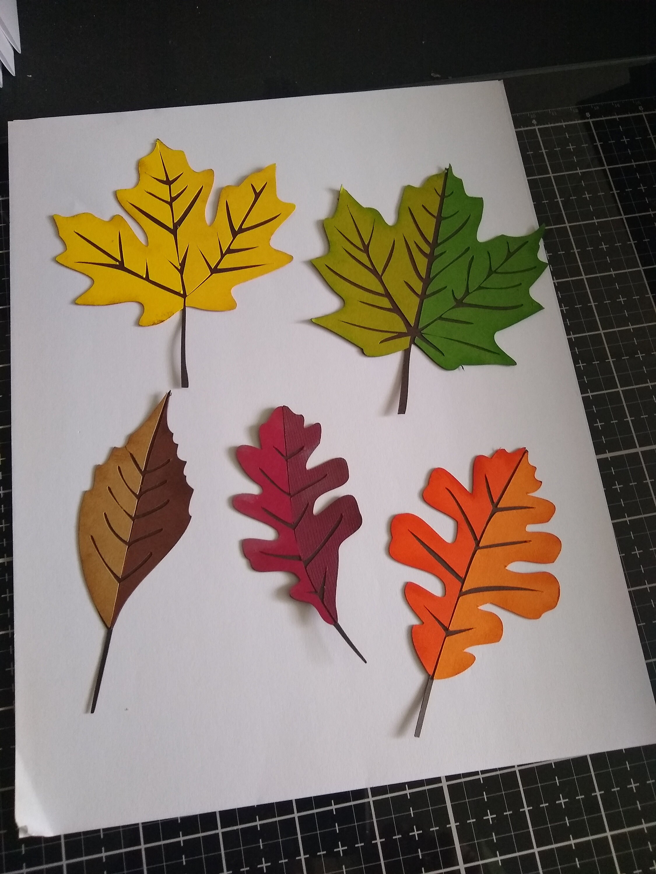 Set of 5 Large Autumn Leaves Die Cut/Paper Piecing Etsy