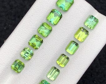 Green Tourmaline Faceted Lot 7.80 ct - Grounding Stones for Clarity