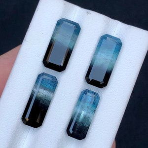 Bi colour tourmalines 16 carats