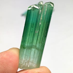 Bluish Green Tourmaline Crystal 6.50 g - Natural Collector Specimen image 4