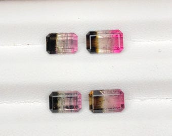Bi Colour Tourmaline Faceted Pair 4.95 ct - Earrings Matching Pair