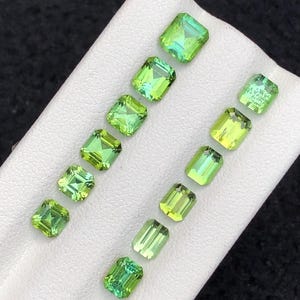 7.80 CTs green tourmaline lot origin Afghanistan