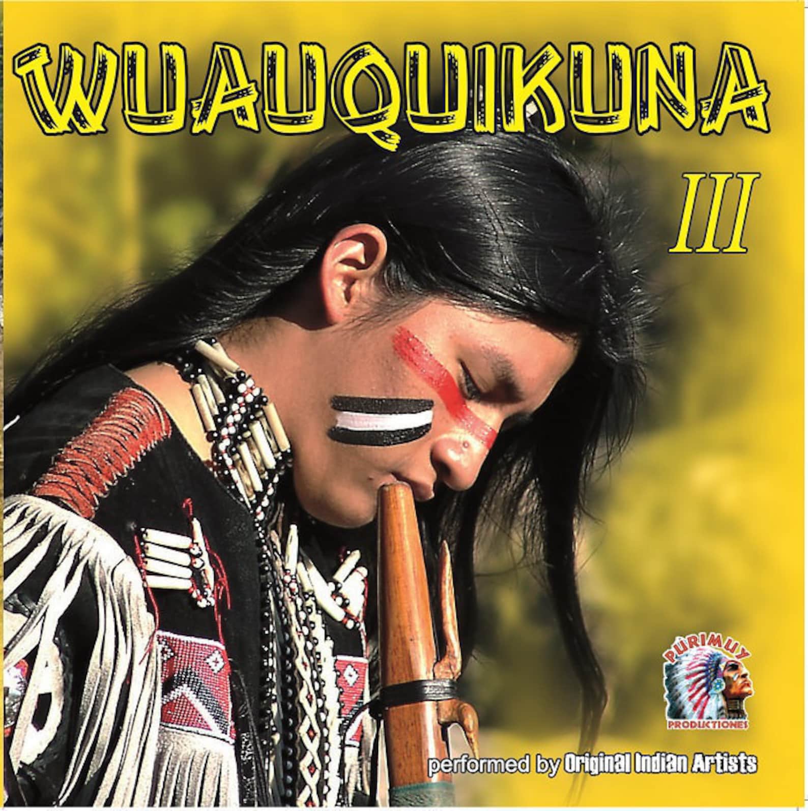 Индеец песня ноль. Индейская группа Wuauquikuna. Fabian Salazar Wuauquikuna. Wuauquikuna Art. Музыкальная группа индейской музыки Wuauquikuna.