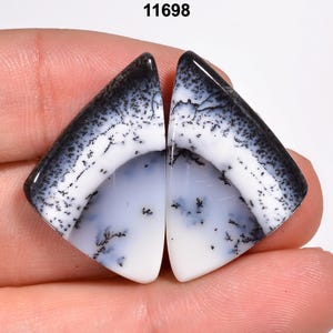 Op de afbeelding: Twee driehoekige dendritische opaal cabochons met een glad, gepolijst oppervlak, een witte basiskleur en ingewikkelde, donkerzwarte varenachtige insluitingen. De stenen vertonen een duidelijk patroon van vertakte, boomachtige markeringen.