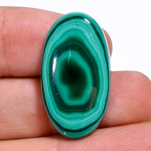 Natural Green Malachite Cabochon Gemstone Green Malachite Cabs Malachite Gemstone Flat Back For Jewelry Making 25 Ct 15X28X5 MM