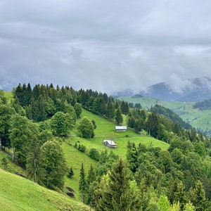 natuur