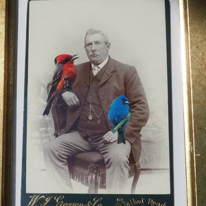 Original Art (Mixed Media) using Antique Cabinet card of man holding exotic birds framed in recycled gold frame | Funny Art | Framed Art