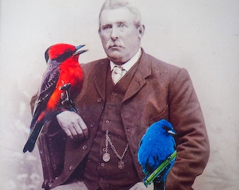 type drôle d'oiseau carte de vœux | Carte d'anniversaire unique